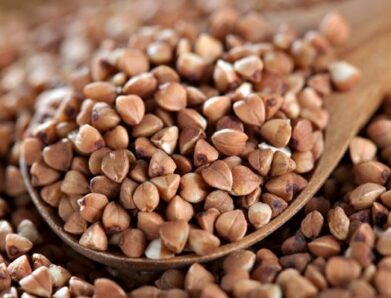 Buckwheat Composition, Production and Uses PDF eBook